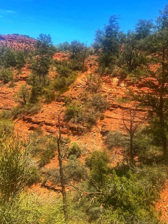 ⛰️✨ Cathedral Rock Trailhead – Sedona’s Iconic Red Rock Climb