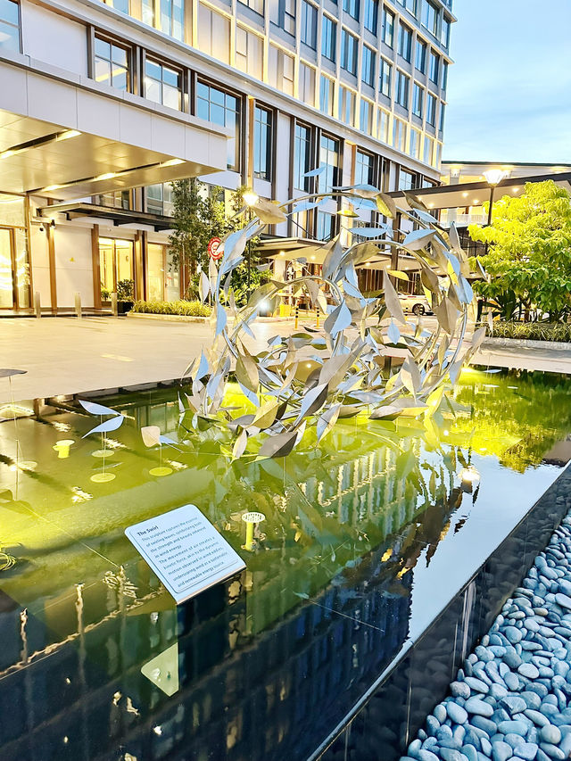 The Swirl of Miri’s Modern Charm The Swirl of Miri’s Modern Charm