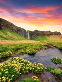 “The Curtain of Light”