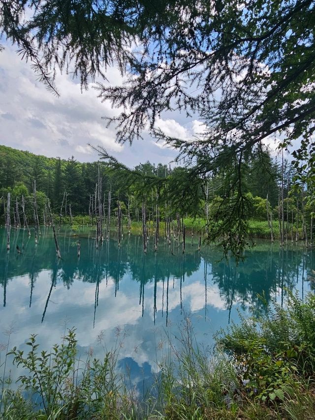 삿포로 5박6일 여행 포토 스팟