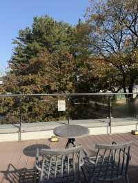 ๊ฒฝ์ฃผ์ฌํ์์ ์ด๊ณณ๋ ํน๋ณํ ์นดํ๊ฐ ๋ฉ๋๋ค! ๋ฐฉ๋ฌธํด๋ณด์ธ์๐