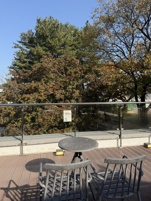 ๊ฒฝ์ฃผ์ฌํ์์ ์ด๊ณณ๋ ํน๋ณํ ์นดํ๊ฐ ๋ฉ๋๋ค! ๋ฐฉ๋ฌธํด๋ณด์ธ์๐ ๊ฒฝ์ฃผ์ฌํ์์ ์ด๊ณณ๋ ํน๋ณํ ์นดํ๊ฐ ๋ฉ๋๋ค! ๋ฐฉ๋ฌธํด๋ณด์ธ์๐