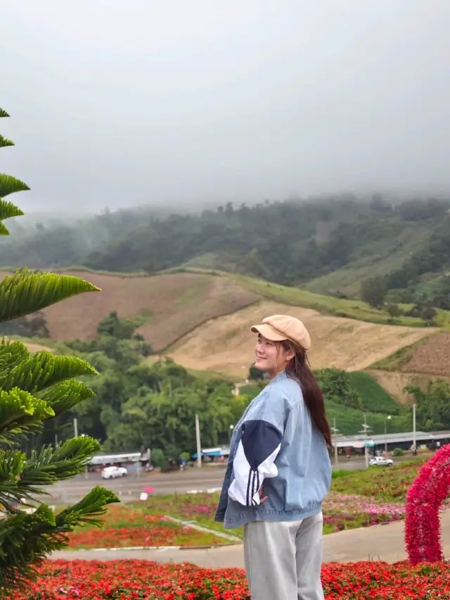 แพลนเที่ยวเขาค้อ-ภูทับเบิก 3 วัน 2 คืน