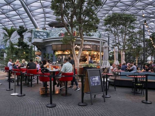 🍽️ Changi Airport: A Global Foodie Destination! 🇸🇬✈️