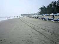 Sunny Shores Await🌞 coxs Bazar ⛵