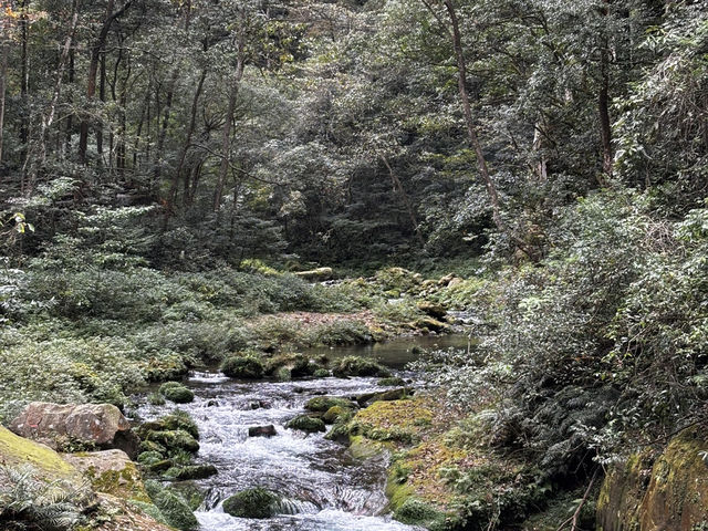 Zhangjiajie National forest park🙌🏼✨🔮 Zhangjiajie National forest park🙌🏼✨🔮