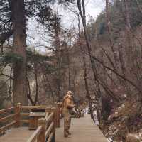 Chengdu > Huanglong > Jiuzhaigou > Chengdu 3 วัน 2