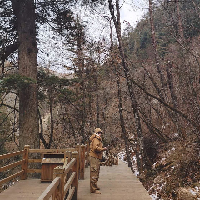 Chengdu > Huanglong > Jiuzhaigou > Chengdu 3 วัน 2