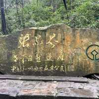 Zhangjiajie — A Landscape So Magnificent It Feels Almost Unreal (张家界)