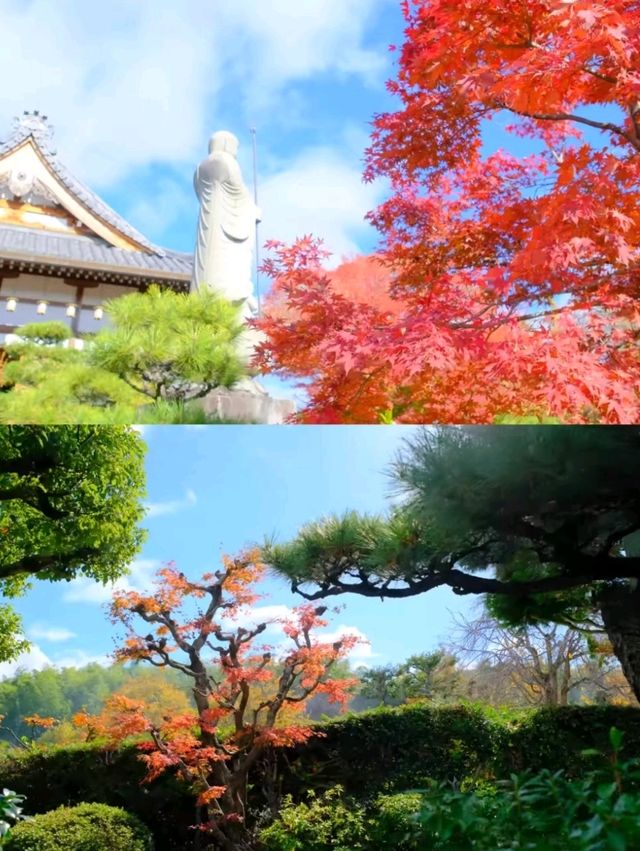 京都小眾賞楓秘境|正法寺禪意紅葉之旅🍁 京都小眾賞楓秘境|正法寺禪意紅葉之旅🍁