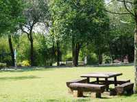 Picnic Amidst Nature at Wetland Putrajaya