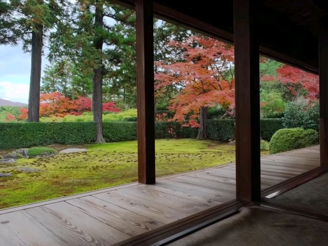 京都北山賞楓必去靜謐秘境🍁圓通寺充滿禪意的絶美畫捲 京都北山賞楓必去靜謐秘境🍁圓通寺充滿禪意的絶美畫捲