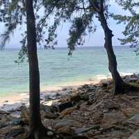 Tropical Adventure from Cool Mountain Foothills to Sun light Islands