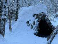 Snow Bliss in a Snow Valley ☃️❄️🥰