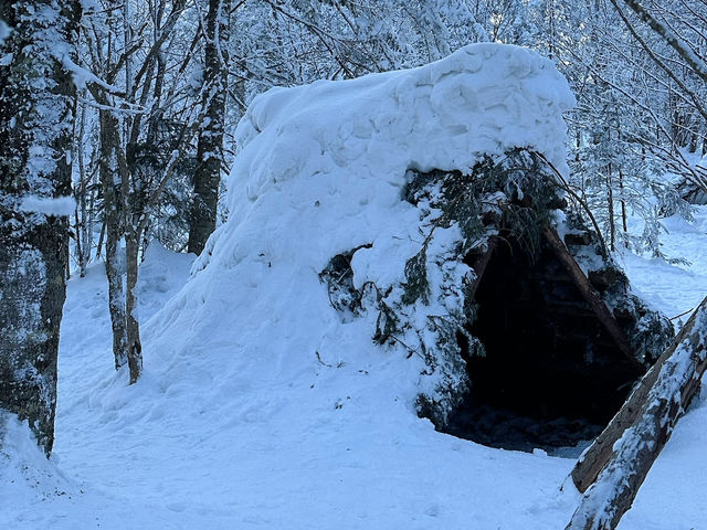 Snow Bliss in a Snow Valley ☃️❄️🥰 Snow Bliss in a Snow Valley ☃️❄️🥰