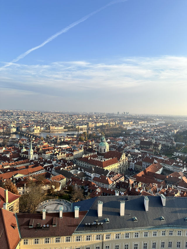 ํ๋ผํ์ฑ ํ๋ผํ์ฑ