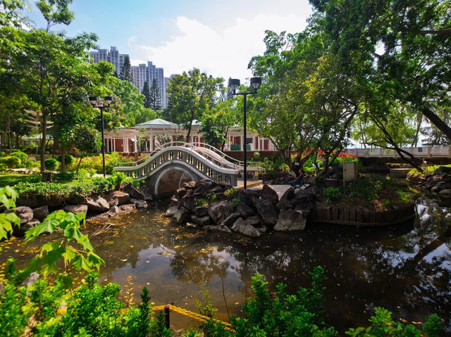 Where the Tide Carries Distant Hills