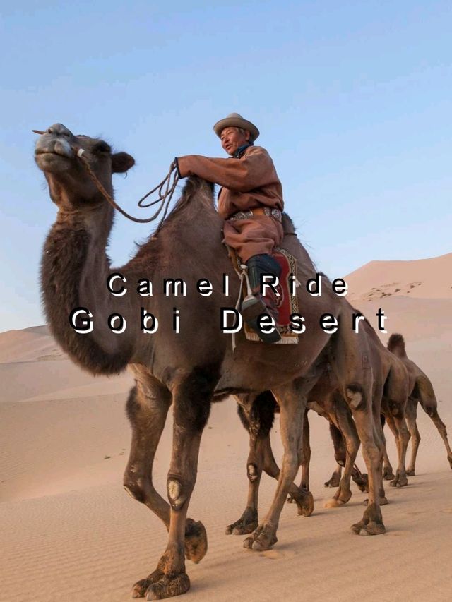 Gobi Desert -  Mongolia & China