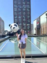 จุดถ่ายรูป “หมีแพนด้าเกาะตึก IFS” ที่เฉิงตู