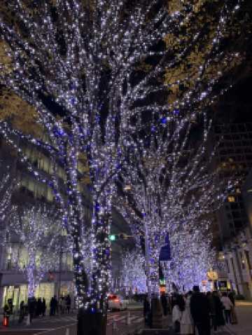 🎄日本東京｜六本木聖誕點燈 冬天限定的浪漫光之道