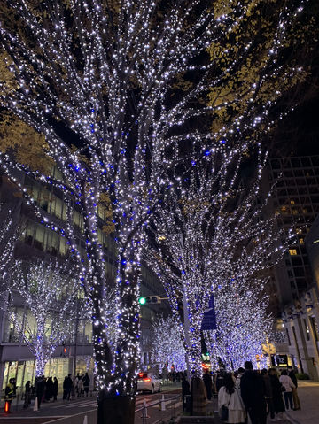 🎄日本東京｜六本木聖誕點燈 冬天限定的浪漫光之道