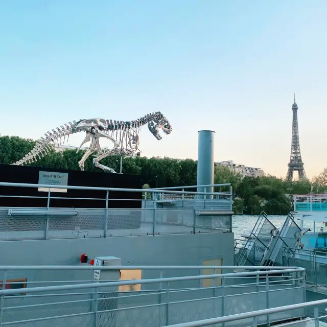 파리에서 꼭 해야 할 5가지 활동