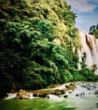 Indonesia Lombok Sembalun Valley Mossy Edelweiss Grasslandeasytravelpost