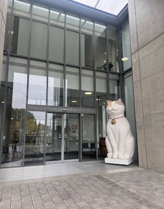 Onomichi City Museum of Art: A Whimsical Stroll Through Art and Felines