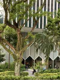 A Giant Beehive Rising Above Bugis