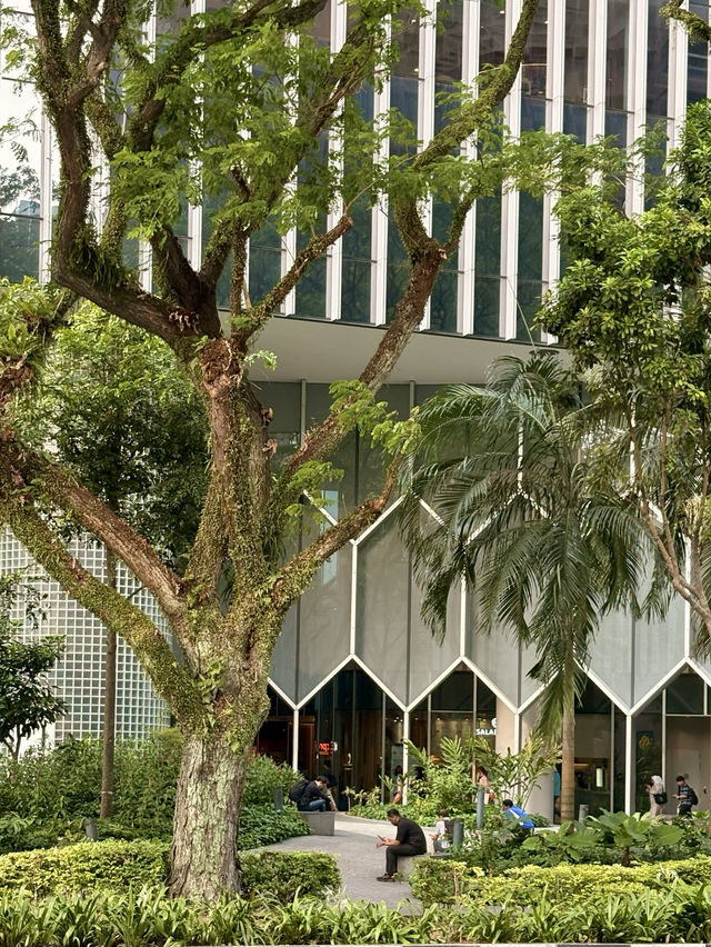 A Giant Beehive Rising Above Bugis