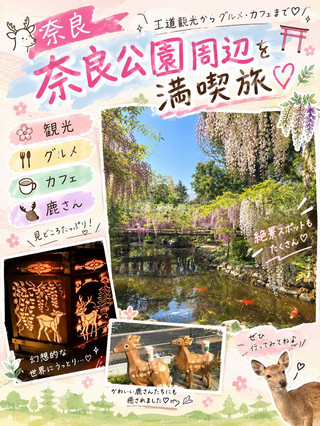 【奈良一日遊】必去景點、地道美食、人氣Café全攻略！超充實奈良散策指南