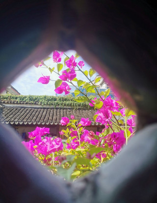 散落的美好時刻 | 蘇州、濟南、保定 🌿🏯