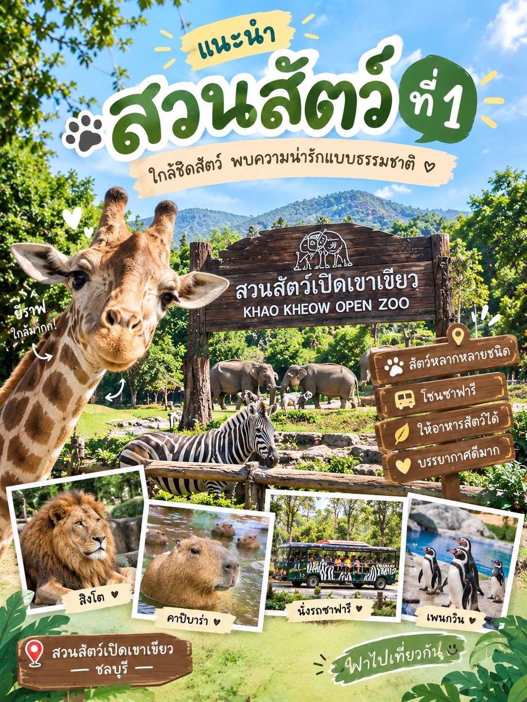Top 2 Zoo Recommendations to Check Out 🦒