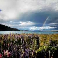 Roadtrip Picnic Spot in South Island