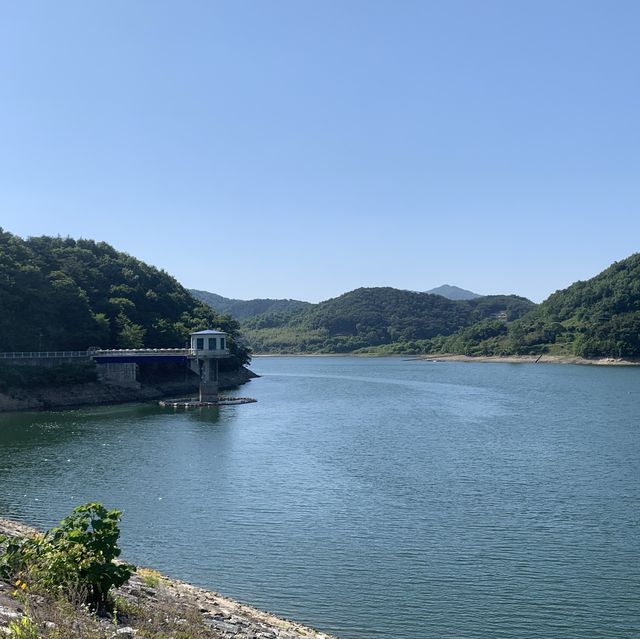 전라남도 장성 봄 여행지로 추천하는 장미공원🌹