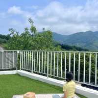 충주의 k-스위스