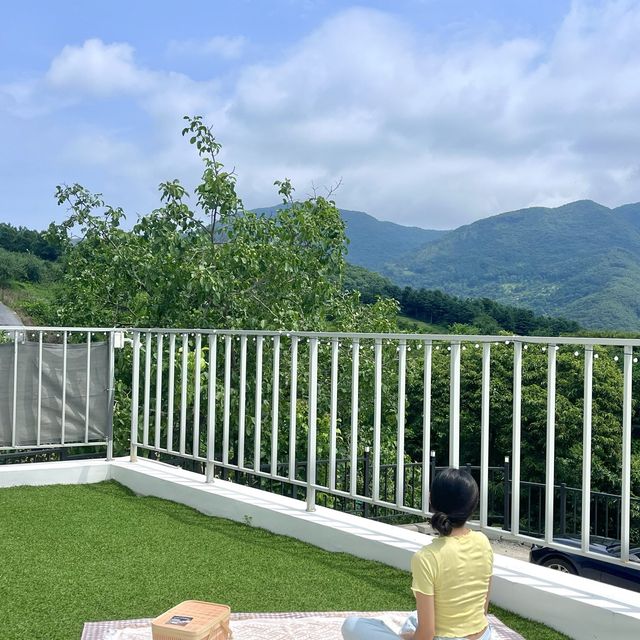 충주의 k-스위스