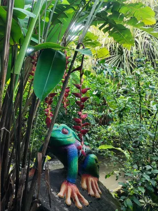 コスタリカ個人旅行ガイド（2025年年）：おすすめの