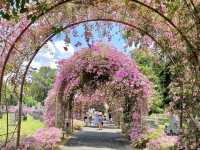 Japanese Cemetery Park