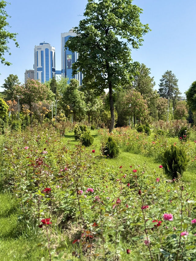 Spring Stroll Through Rudaki Park, Dushanbe