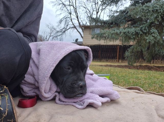 Snuggle Buddy
