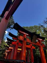 Experiencing the Heart of Japan in Kyoto 