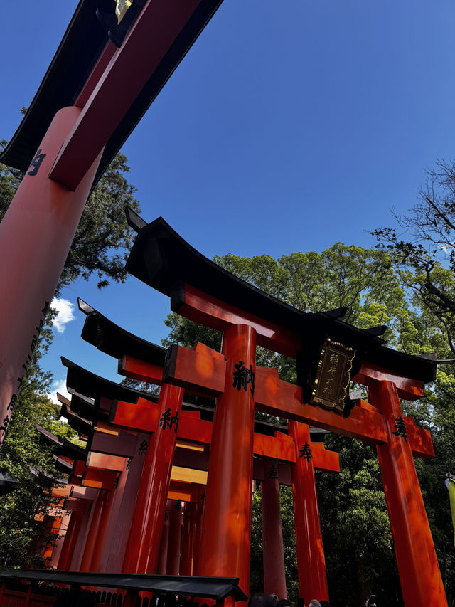 Experiencing the Heart of Japan in Kyoto 