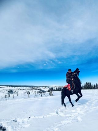 When the Snow Fell on Nanshan, I Left Xinjiang