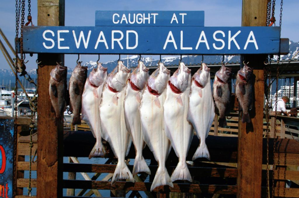 🇺🇸Seward, Alaska