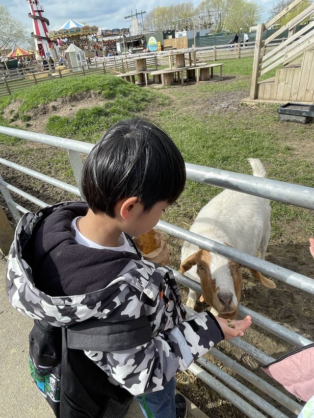 約克超抵玩大型遊樂園