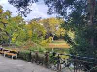 Türkenschanzpark Vienna in autumn 🗺️