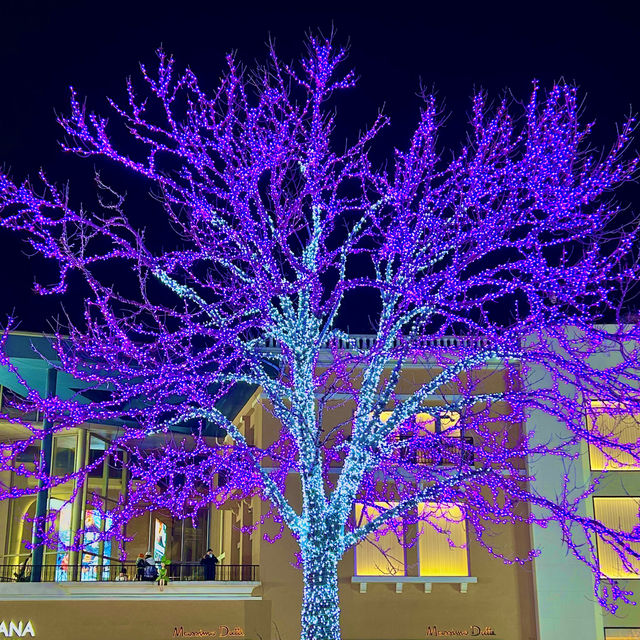 Solana in winter