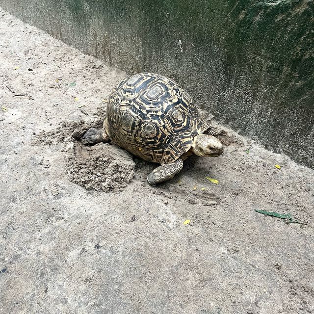 Ethical zoo in 🇹🇿 
