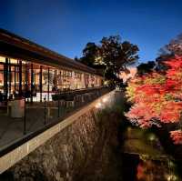 《洛可京都Roku Kyoto LXR 酒店》彷如隔世，寧靜的世外桃源🌸